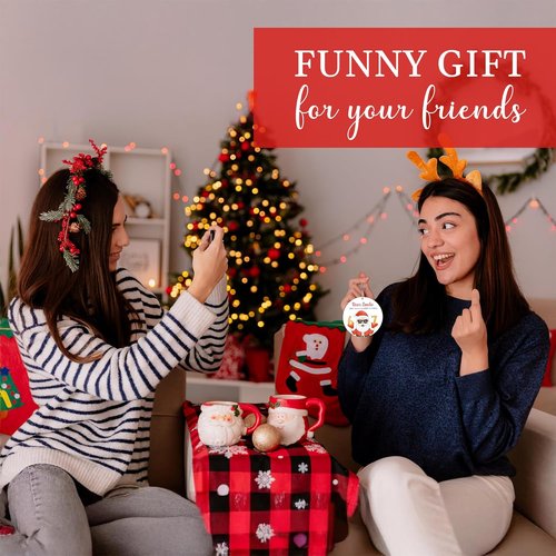 67 Meme Funny Christmas Ornaments - Hilarious Santa Tree Decor | Perfect Gag Gifts & Stocking Stuffers