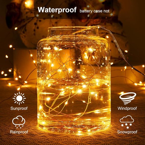 Ariceleo 16.4ft Battery Operated String Lights - Warm White Fairy Lights with Timer & Twinkle Mode | 50 LEDs for Christmas, Bedroom, Party, Wedding