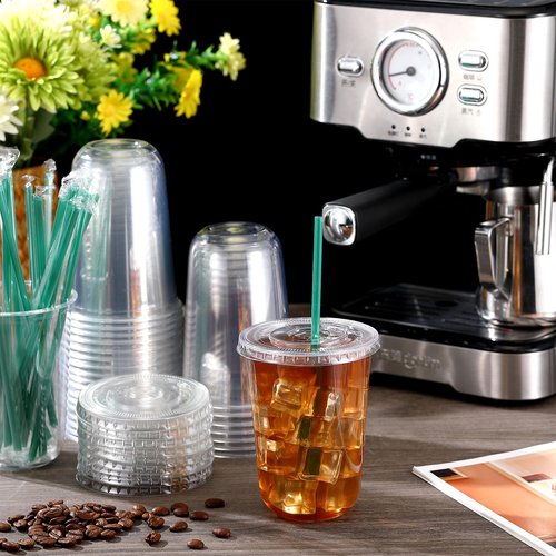 Baderke 25 Sets Clear Plastic Cups with Lids and Straws Disposable Plastic Iced Coffee Cups for Cold Beverage Juice Smoothie Coffee and Party Catering (16 oz)