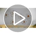 6-Piece Boho Daisy Flower Wall Decor, Woven Macrame Nursery Wall Art