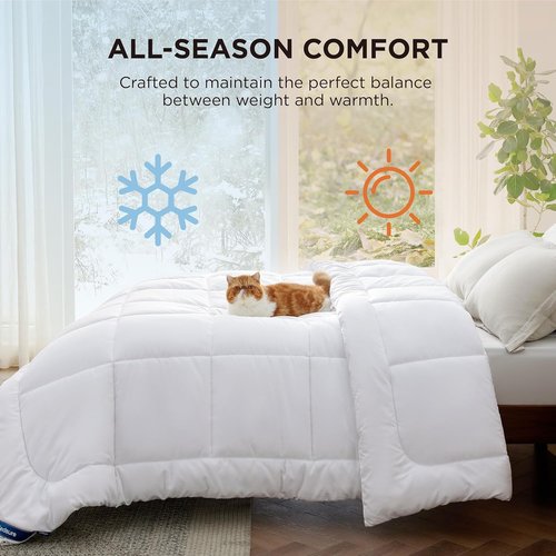 Bedsure Comforter Duvet Insert - Quilted Queen Size All-Season Down Alternative Blanket, White 88 x 88 Inches