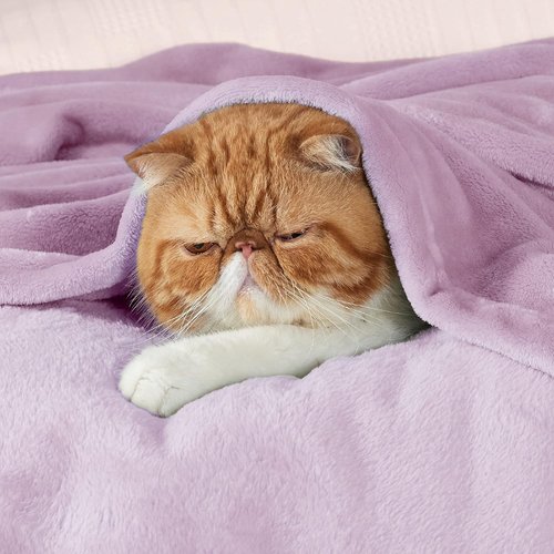Bedsure GentleSoft Fleece Throw Blanket - XL Lightweight Plush Cozy Blanket in Light Purple, 50x70 Inches