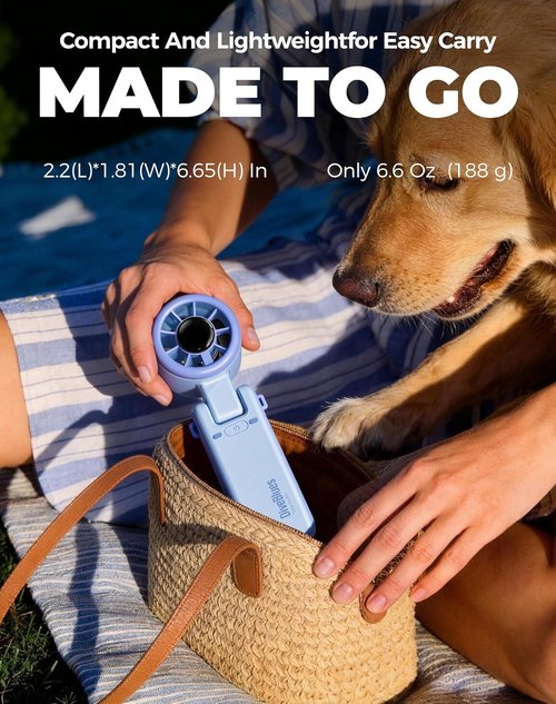 Diveblues Portable Handheld Turbo Fan - 5 Speed Battery Operated Cooling Fan for Travel & Outdoor Use