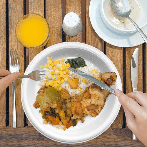 BONSINY 50 Pcs White Plastic Plates Disposable 10 inch - White Disposable Plates for Party Birthday Picnic Easter