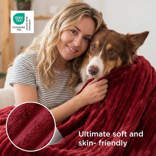 Bedsure GentleSoft Fleece Blanket - Cozy Scarlet Sage Throw for Couch, 50x70 Inches