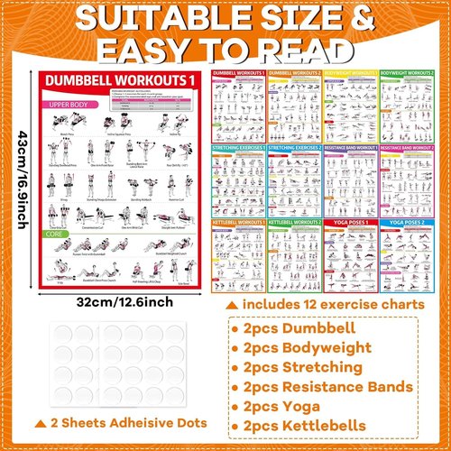 gisgfim 12PCS Workout Posters - Full Body Exercise Charts for Home Gym | Dumbbells, Yoga, Resistance Bands
