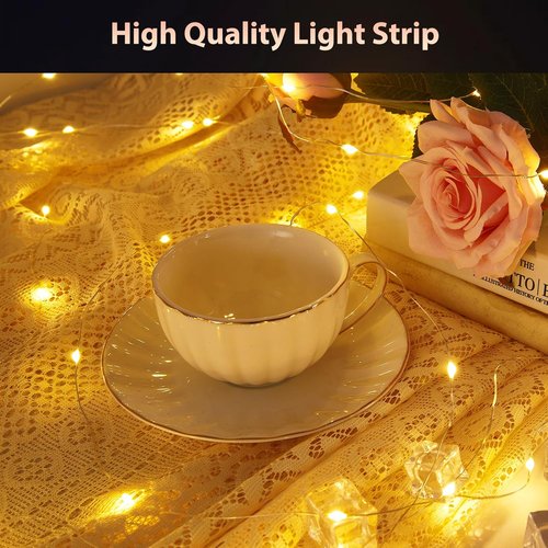 Ariceleo Battery Operated String Lights - 50 LEDs Warm White & Multi-Color | 5M/16.4ft with Remote Control & Timer
