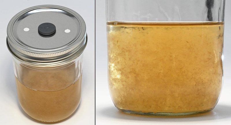 Root Mushroom Farm- 6Pcs Wide Mouth Mushroom Liquid Culture Lids, Mason Jar Lid with Two air exchange openings, 0.22um PTFE Filters & 20mm Self Healing Injection Port