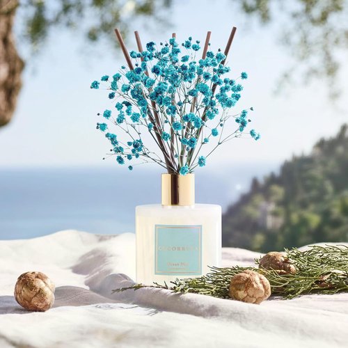 COCORRÍNA Reed Diffuser - Ocean Mist 6.7 Fl. Oz Set with Sticks & Preserved Baby's Breath | Home Decor