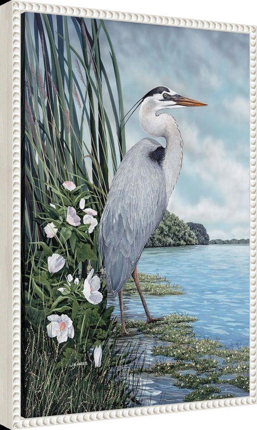 Amanti Art Framed Canvas Wall Art 23x16 Great Blue Heron by James Harris, Framed Wall Art Canvas, Animals Artwork, Traditional Decor, Medium Poster Painting for Living Room, Bedroom, Bathroom
