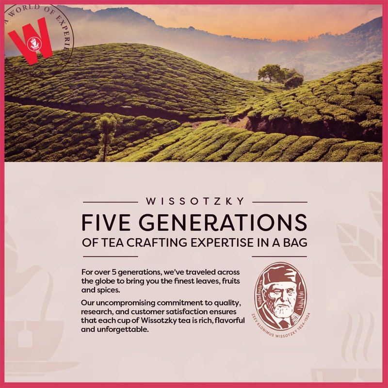 Wissotzky Wild Berries & Passion Fruit Green Tea (6 Pack - 120 Tea Bags | Antioxidant Rich | Tropical Blend Green Tea Bags