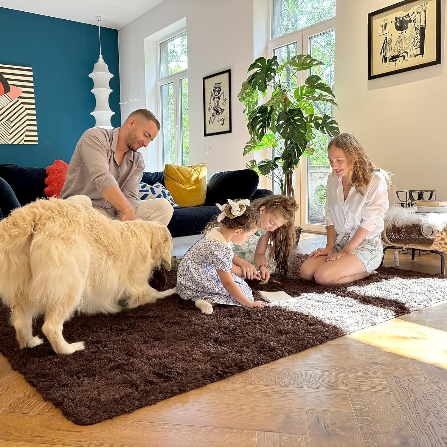 OLANLY Accent Rug - Soft Fluffy Shaggy Area Rug for Bedroom & Living Room | Machine Washable 3x4 ft