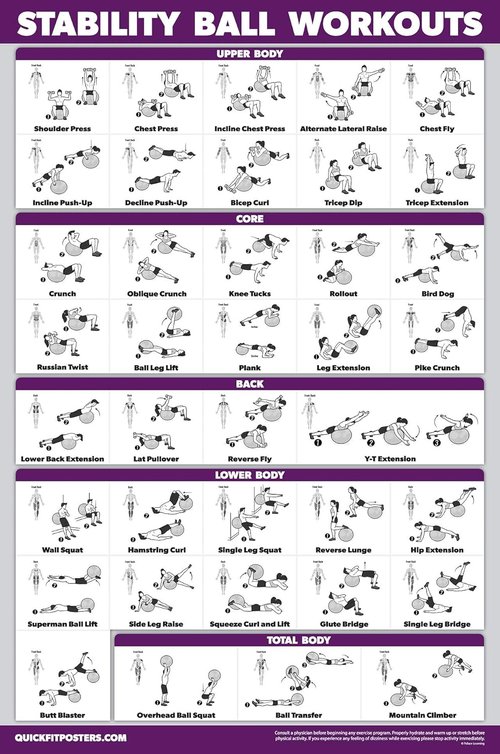 11 Pack Exercise Poster Set - Laminated Workout Guides for Dumbbell, Kettlebell, Yoga & More | 18" x 24"