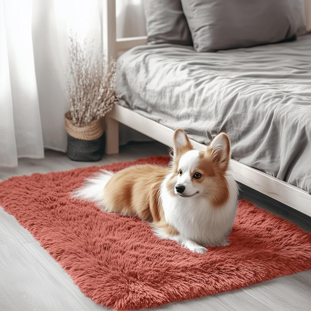 OLANLY Small Bedside Rug - Soft Fluffy Shaggy Entryway Carpet for Bedroom & Living Room | Rust Red