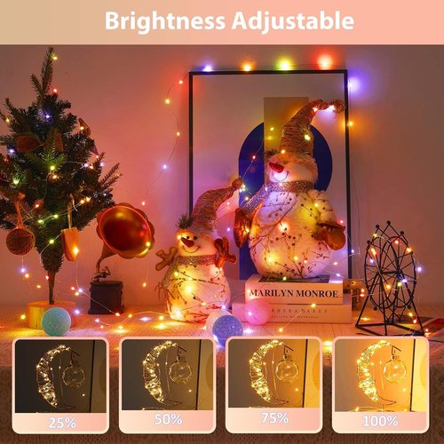 Ariceleo Battery Operated String Lights - 50 LEDs Warm White & Multi-Color | 5M/16.4ft with Remote Control & Timer