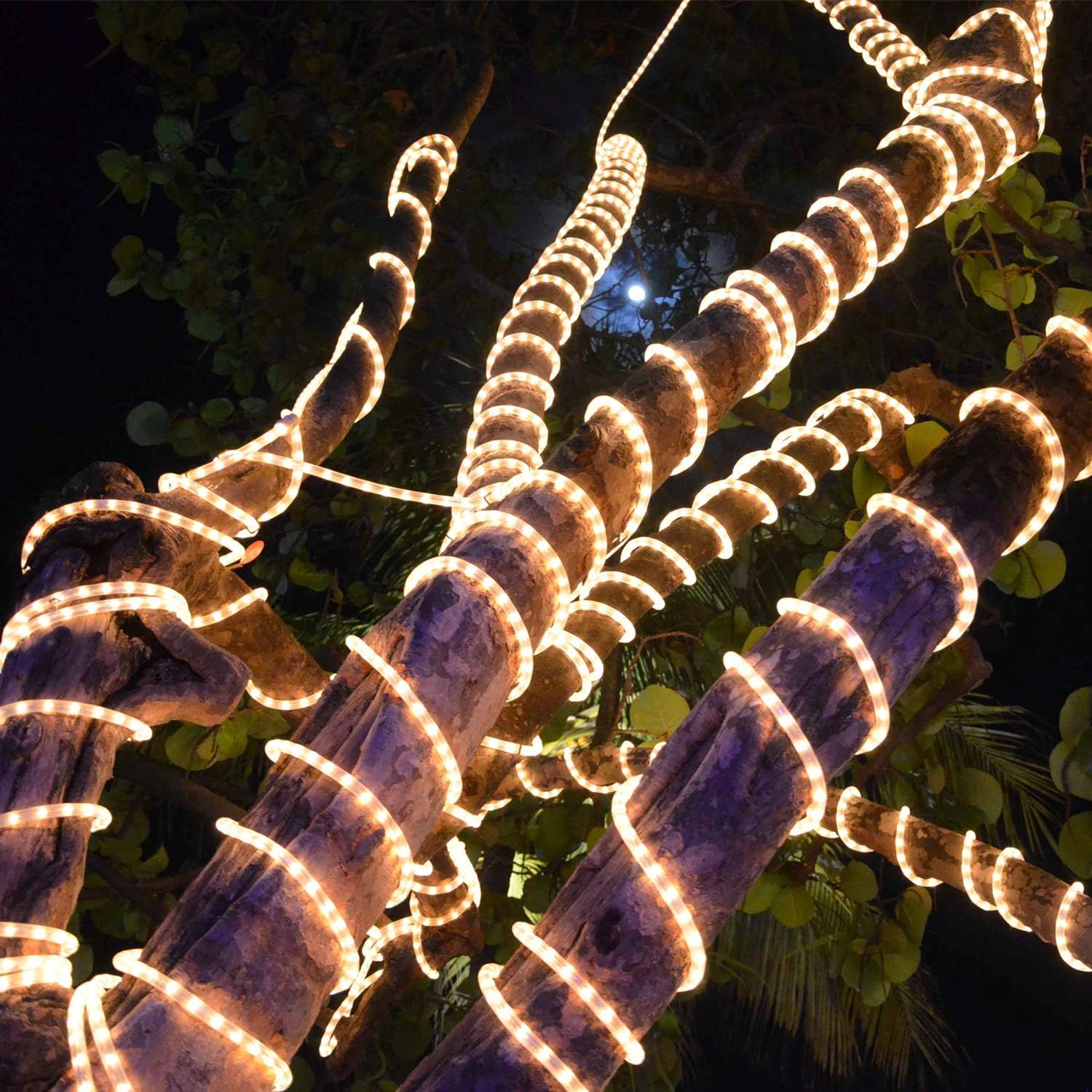 Skiennix 50ft LED Rope Lights - 540 Warm White LEDs, Waterproof, Indoor/Outdoor Use | Perfect for Backyards