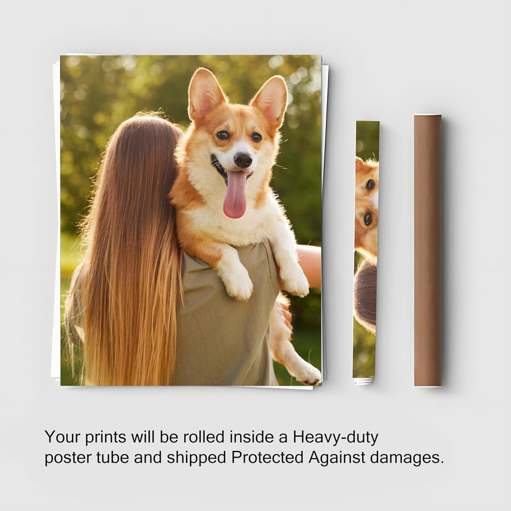 Unframed Custom Poster Print by [Brand Name] - Upload Your Images | 36" L x 48" W