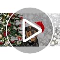Tevxj 2026 Dog Bone Christmas Ornament - Personalized Pet Hanging Decoration (Dog Bone)