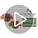 Artificial Outdoor Flowers with Hanging Baskets - Set of 2 UV Resistant Plants