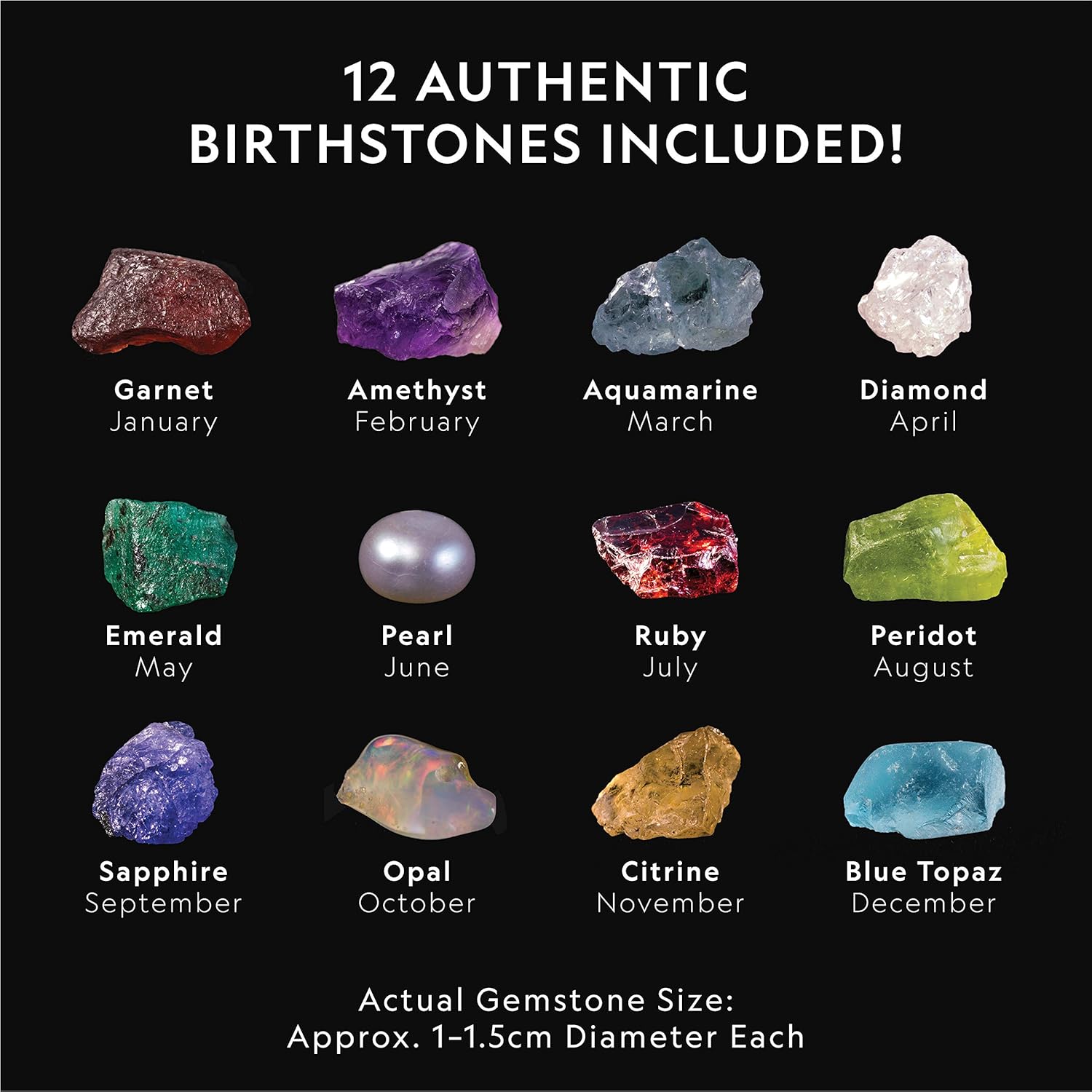 National Geographic Birthstone Dig Kit - 12 Genuine Birthstones Including Real Diamond & Ruby | Gemstone Collection