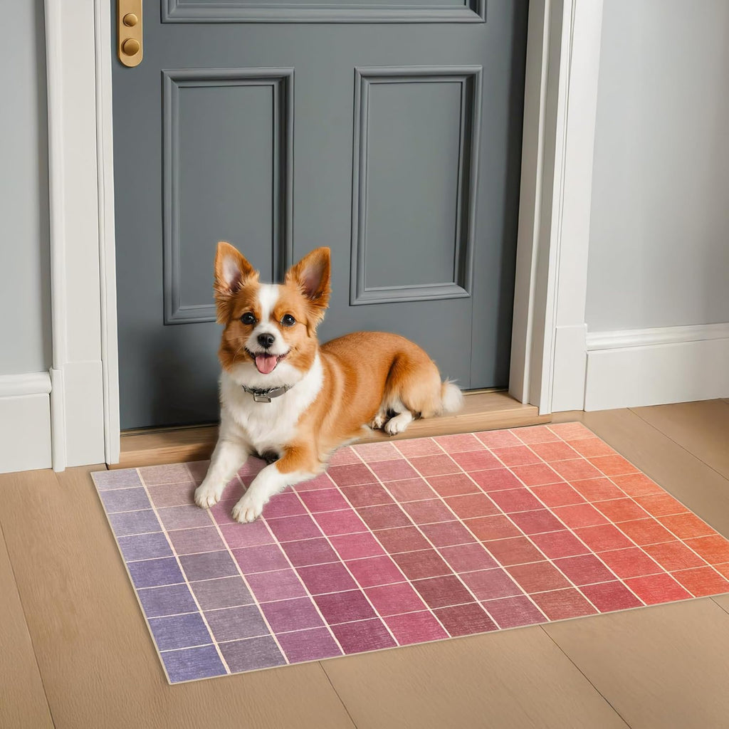 Skiennix Mid Century Modern Ombre Pink Checkered Rug - Washable Non-Slip 2x3 Small Area Rug for Entryway & Kitchen