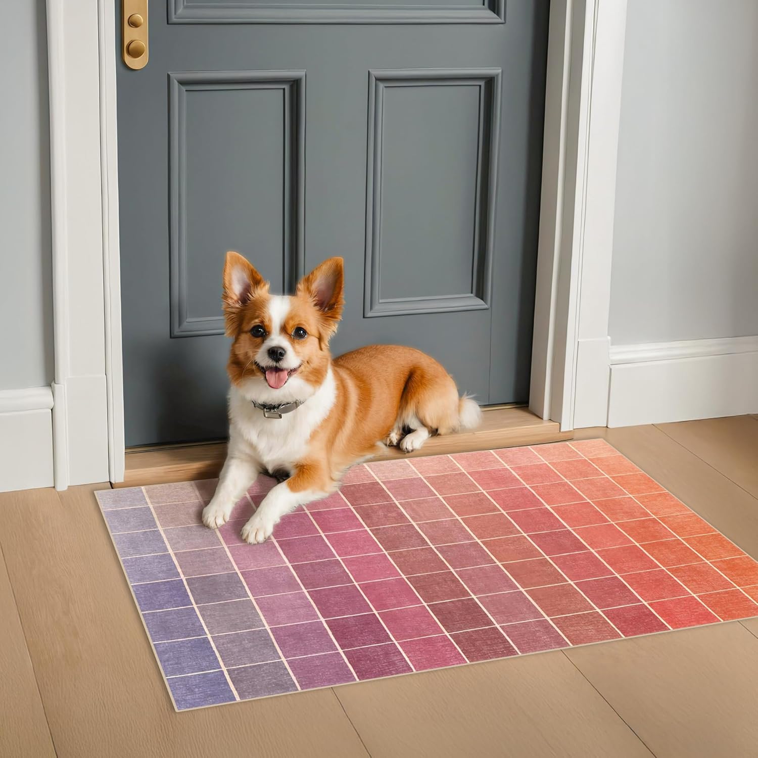 Skiennix Mid Century Modern Ombre Pink Checkered Rug - Washable Non-Slip 2x3 Small Area Rug for Entryway & Kitchen