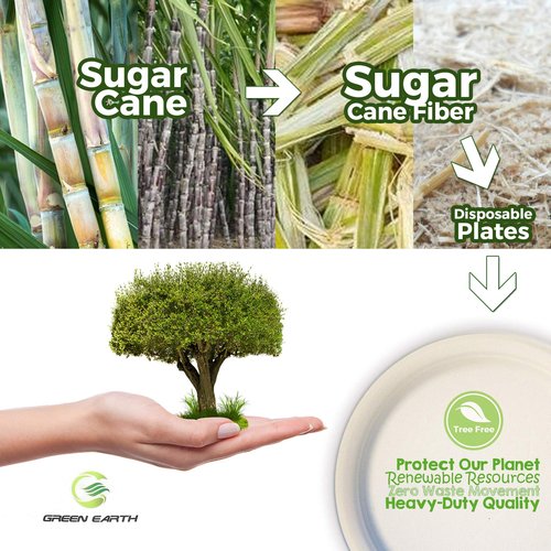 Green Earth, 100% Compostable Paper Plates Natural Bagasse, Sugarcane Fiber, Breakfast Lunch Dinner Biodegradable Recycled Disposable Round Microwave Safe Eco Friendly Heavy-Duty, 9" inches, 50 Pack