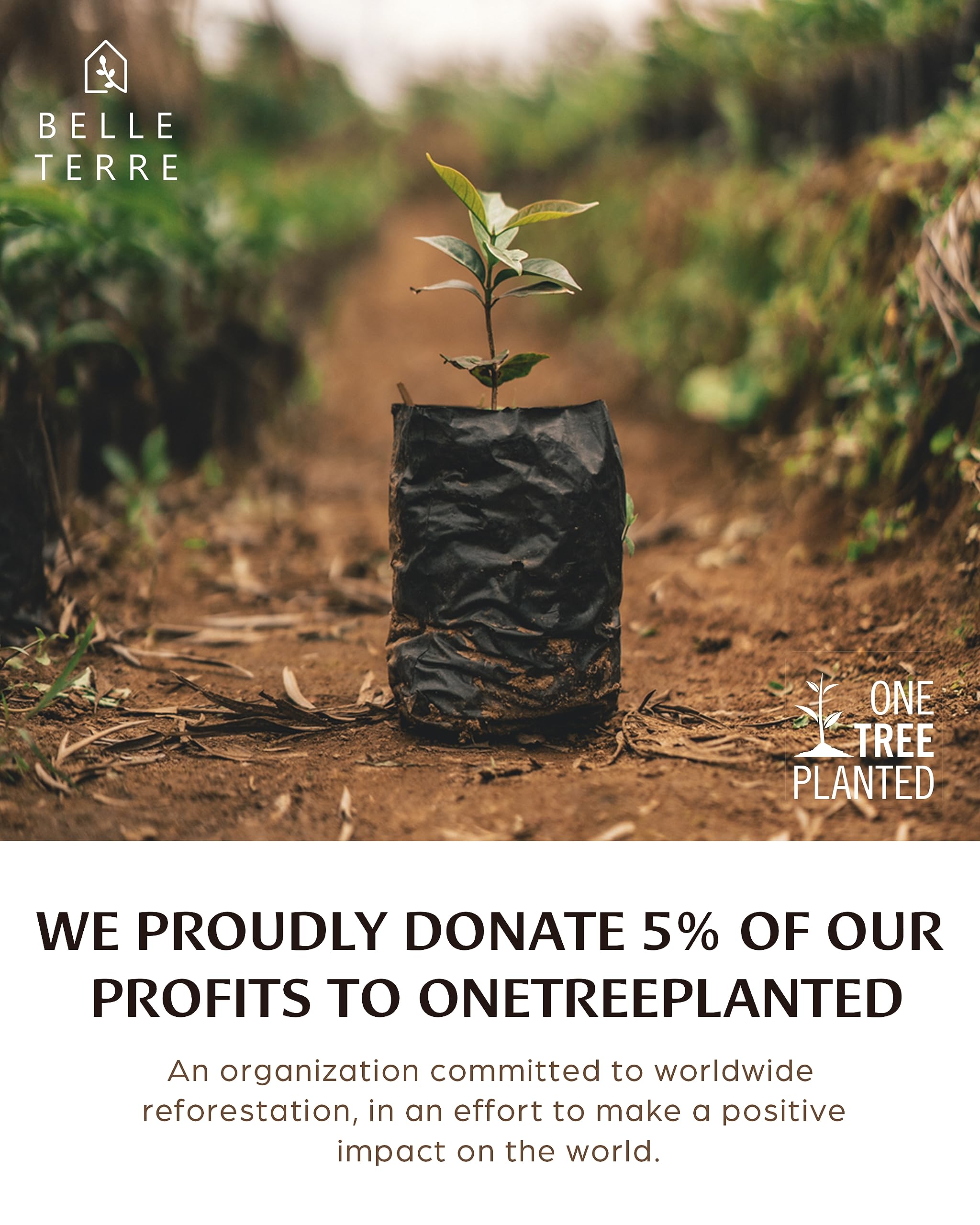 BELLE TERRE Luxury 100% Viscose Derived from Bamboo Sheets Queen Size - Organic, Super Soft Sheets Bed Set - Top and Fitted Sheet, 2 Pillowcases - Cooling Bed Sheets for Hot Sleepers