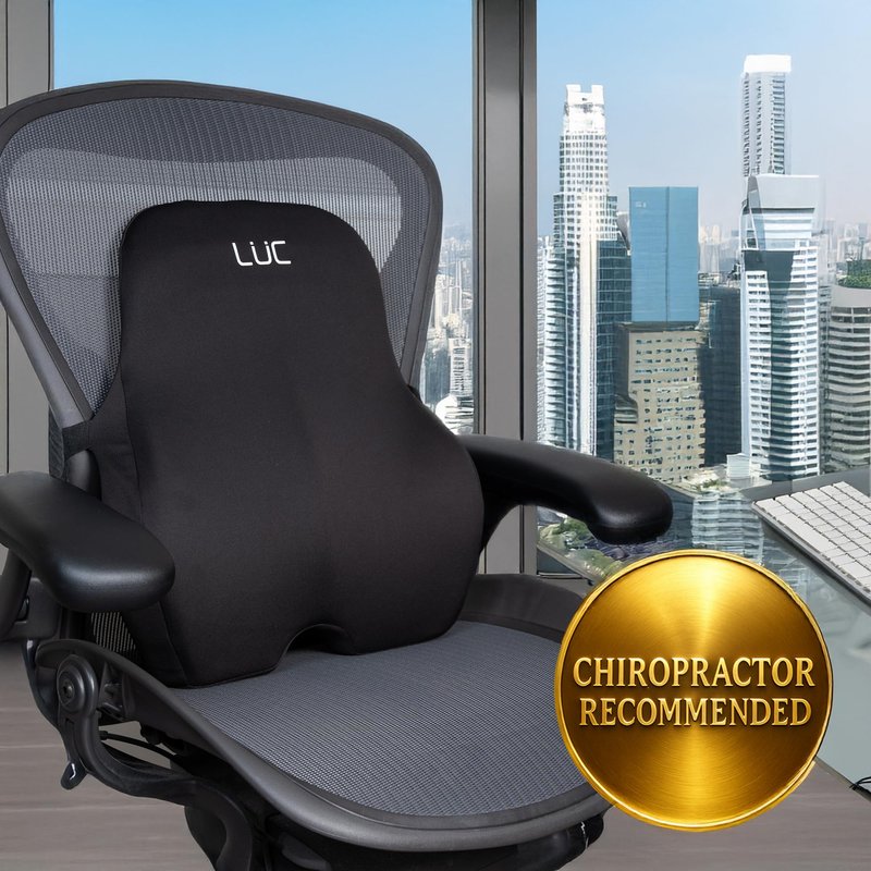 LÜC Lumbar Support Pillow for Office Chair & Car – Ergonomic Memory Foam Back Cushion for Lower Back Pain Relief – Adjustable Strap, Breathable Cover – Improves Posture & All-Day Comfort