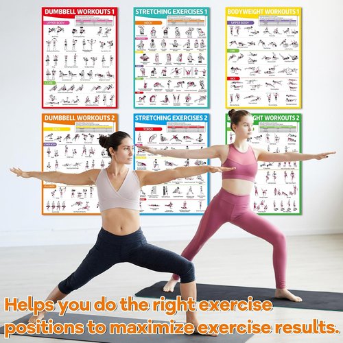**Gisgfim 8PCS Workout Posters - Full Body Exercise Charts for Home Gym | Laminated Dumbbell, Bodyweight & Kettlebell Training**
