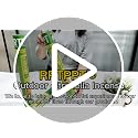 Citronella Incense Coils with Holders - 48 Pack for Outdoor & Indoor Use