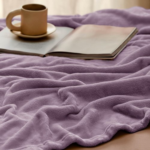 Bedsure GentleSoft Fleece Blanket - Lightweight Plush Cozy Twin Size Fog Purple 60x80 Inches