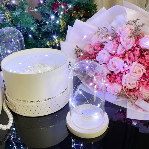 Etinga Fairy Lights - 20 Pack Battery Operated String Lights | 10 LEDs on 3.3ft Silvery Copper Wire for Weddings, Parties & Christmas Decor