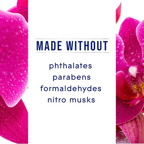 Glade PlugIns Refills Air Freshener - Orchid & Neroli Scented Essential Oils | 1.34 Fl Oz, 2 Count