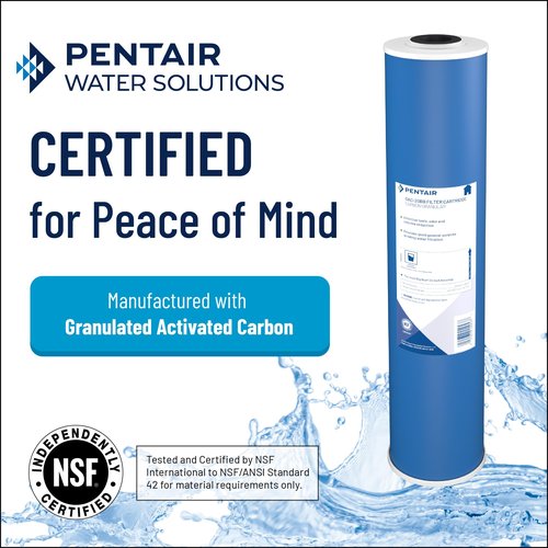 Pentair OMNIFilter GAC1 Carbon Water Filter, 10-Inch, Under Sink Granular Activated Carbon Replacement Cartridge, 10" x 2.5", 20 Micron, White