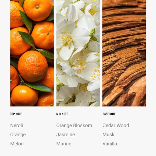 Hotel Collection Diffuser Oil - Paradise - Aromatherapy Essential Fragrance Oil - Melon, Jasmine & Musk - 50ML 1.7 Fl oz