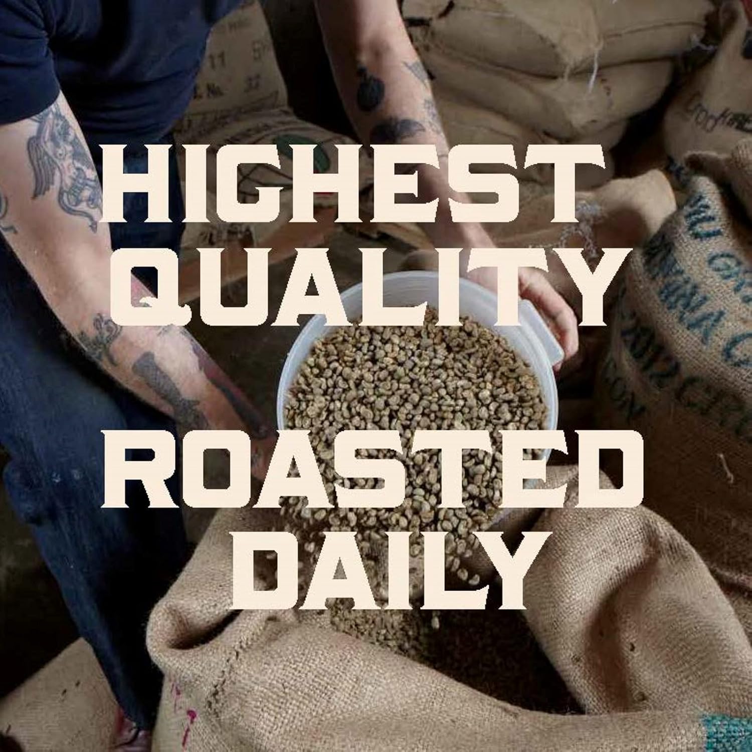 Stumptown Coffee Roasters Medium Roast Whole Bean Coffee - Hair Bender 18 Oz | 100% Arabica with Citrus & Dark Chocolate Notes