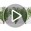 Green / 12 Bundles Artificial Pine Branches Faux Cedar Greenery for Christmas & Holiday Decor