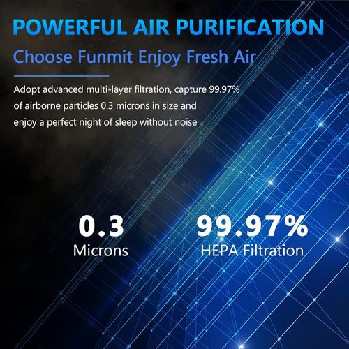 LEVOIT LV-H132 Replacement Filter - 3-in-1 Air Purifier Filter, 2 Pack for Optimal Performance