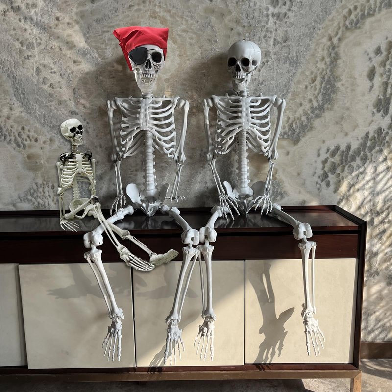 IDMOP 5.4ft/165cm Halloween Skeleton - Life Size Skeleton Full Body Realistic Human Bones with Posable Joints for Halloween Pose Skeleton Prop Decoration (5.4Ft&3Ft)