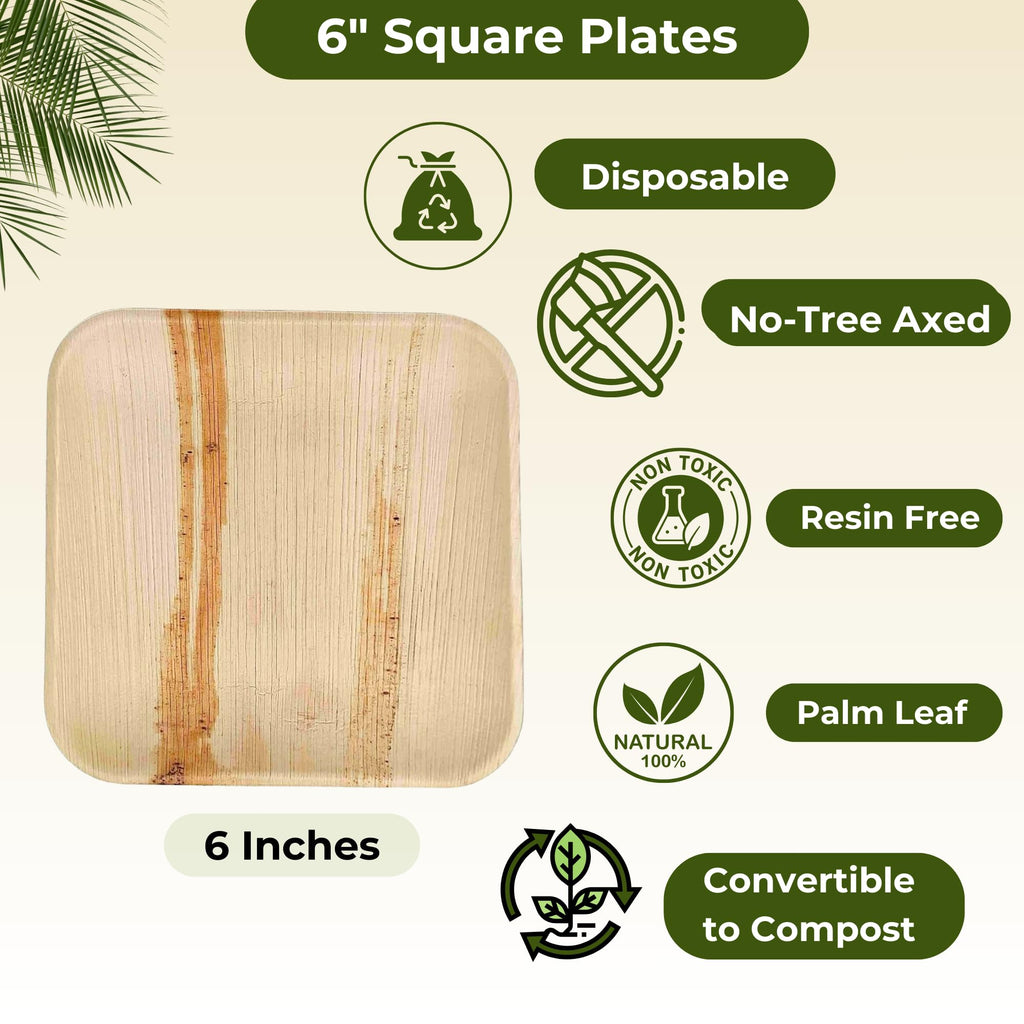 Dtocs Palm Leaf Plates 6 Inch Square (50) | Bamboo Look Disposable Look Appetizers, Camping, Dessert, Appetizer Plates, Mini Charcuterie Boards | Compostable Alternate to 6" Paper Plate