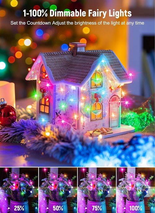 Fairy Lights - 33FT 100LED USB Twinkle Lights with Timer & Remote | 8 Modes for Indoor Christmas Decor