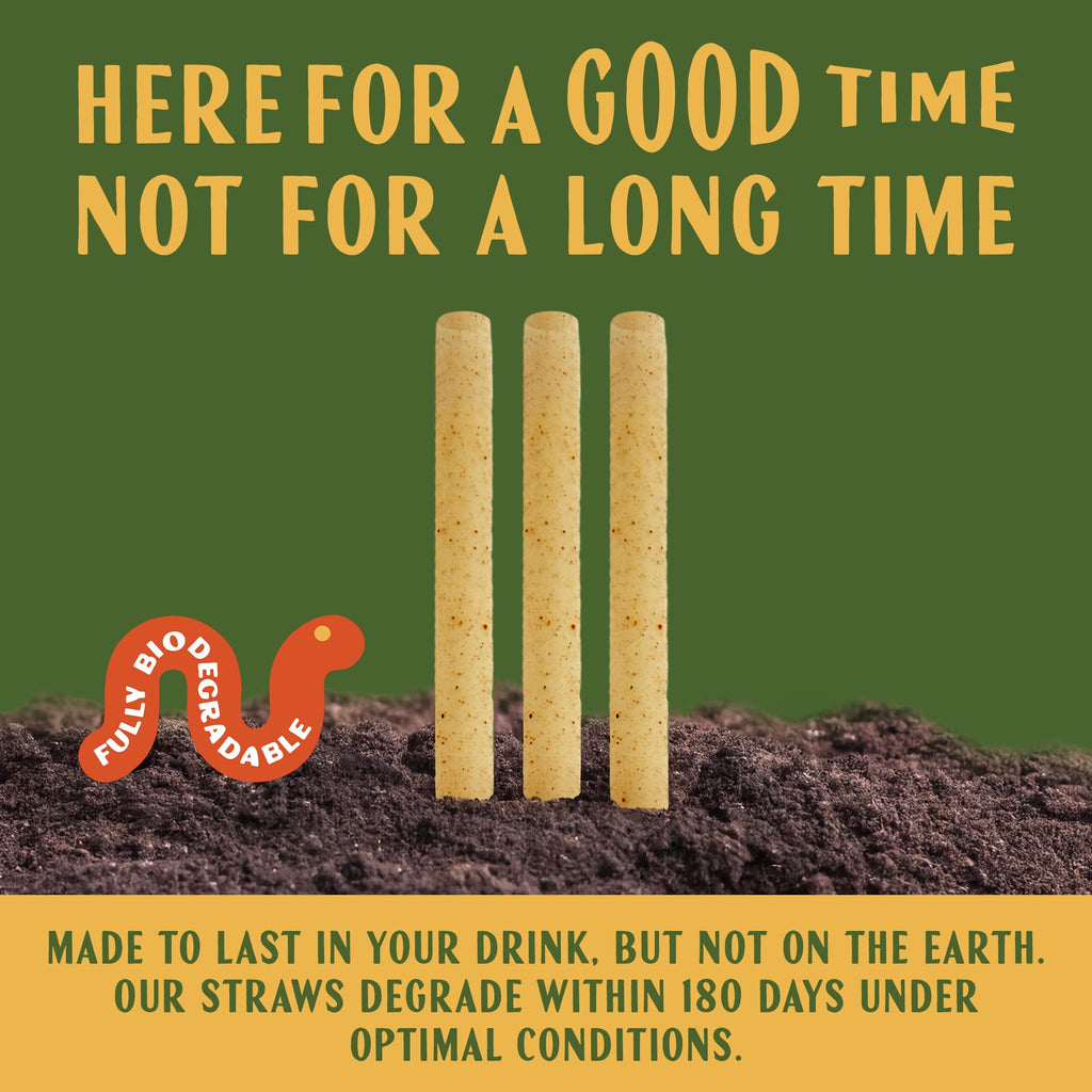 Casa Plantar Bulk Pack of 6 Inch Agave Straws | 2000 count | Sustainable & Compostable Drinking Straws made from Upcycled Agave Plant Fiber | Long-Lasting, Durable Drinking Straws that Won't Get Soggy