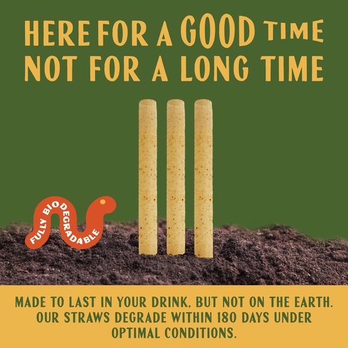 Casa Plantar Bulk | Cocktail 6" Agave Straws | 2000 count | Sustainable & Compostable Drinking Straws made from Upcycled Agave Plant Fiber | Long-Lasting, Durable Drinking Straws that Won't Get Soggy