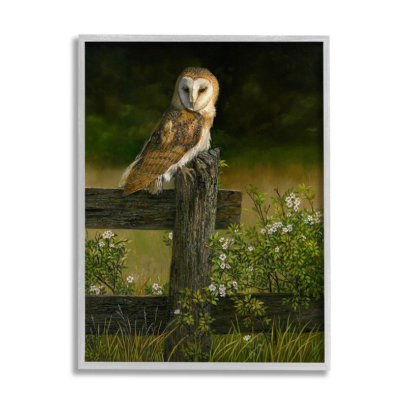 Stupell Industries Barn Owl on Fence Framed Giclee Art by Karla Mann