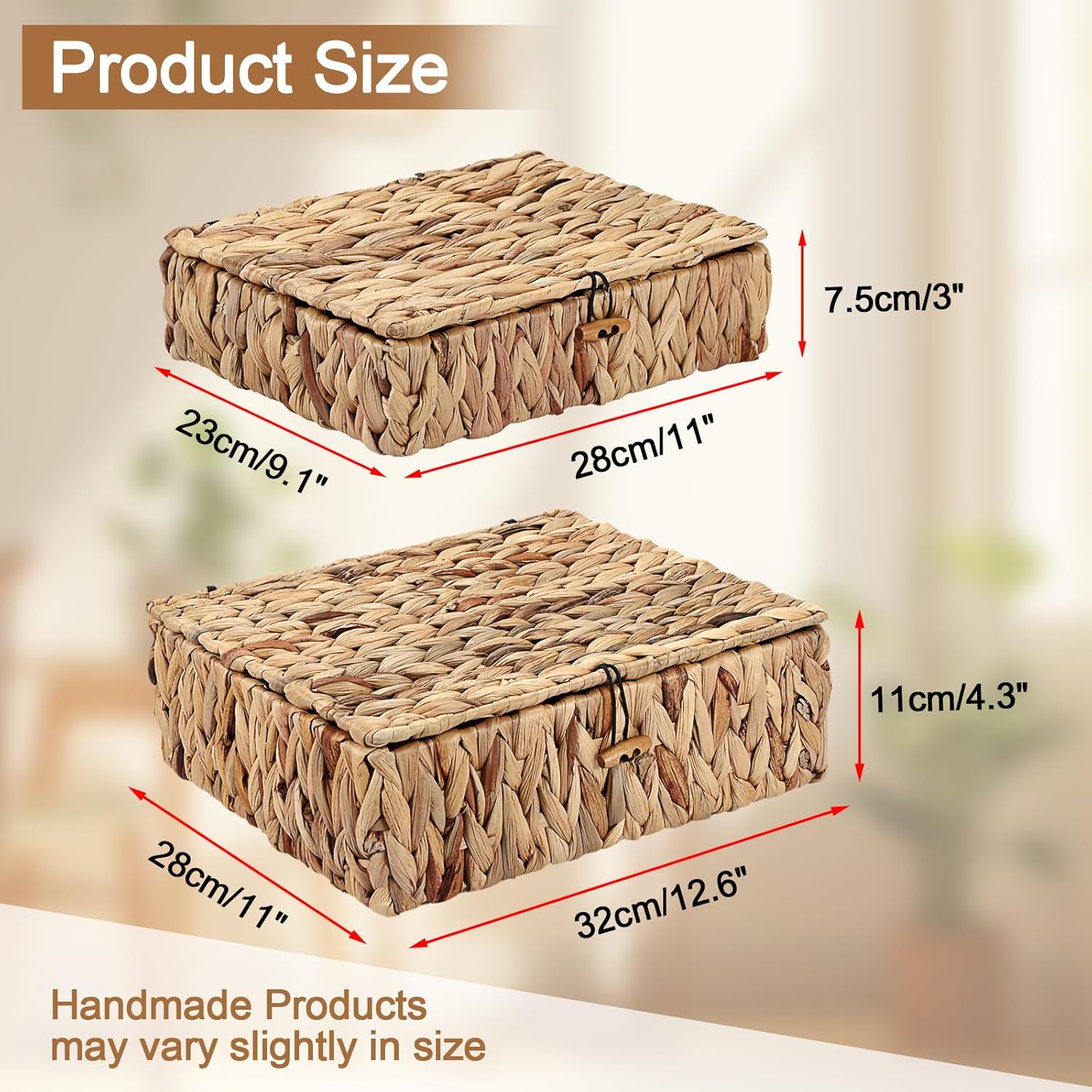 Regine Switzerland Handwoven Shelf Basket Set - Natural Water Hyacinth Bins with Lids for Stylish Home Organization