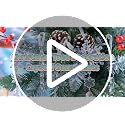 18-Piece Clear Acrylic Christmas Tree Ornaments - Snowflake & Icicle Set