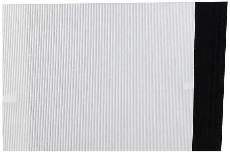 Genuine Winix 113250 Replacement Filter E for P450, White/Black