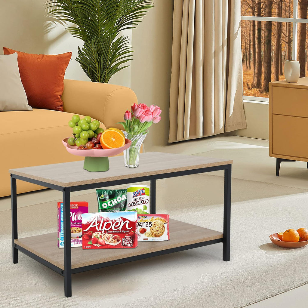Skiennix 2-Tier Coffee Table - Metal Frame with Open Storage Shelf | Easy Assembly for Living Room
