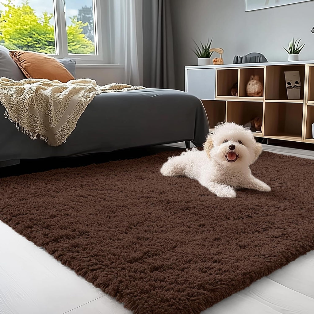 OLANLY Accent Rug - Soft Fluffy Shaggy Area Rug for Bedroom & Living Room | Machine Washable 3x4 ft